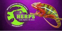 HERPS Exotic Reptile & Pet Shows image 1